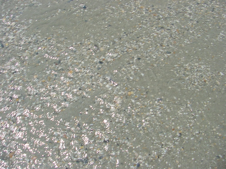 Crystal clear water and rocks.jpg